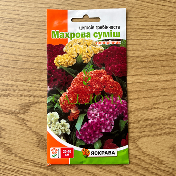Целозія гребінчаста Махрова суміш, 0,3 г 3698 фото